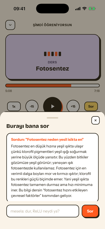 Derse soru sorma